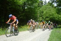 Race Start
