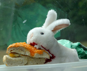 Photo by J.R. Petsko